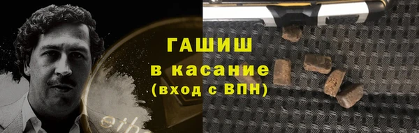 крисы Абаза