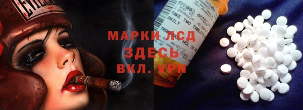 крисы Абаза