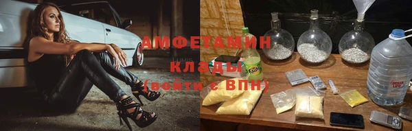 крисы Абаза
