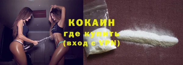крисы Абаза