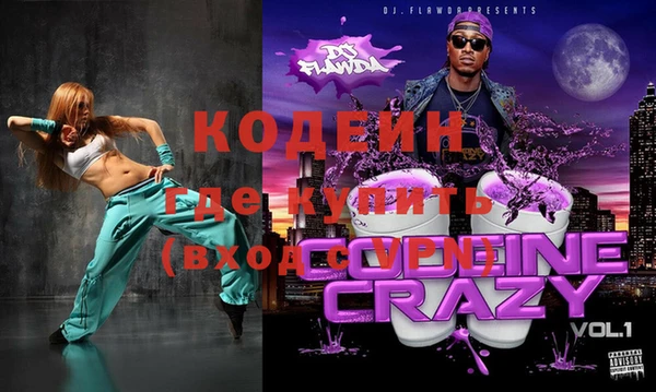 крисы Абаза