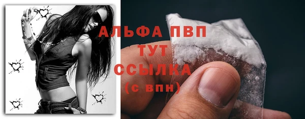 крисы Абаза