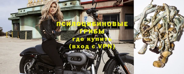 крисы Абаза