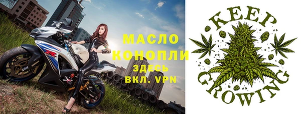крисы Абаза