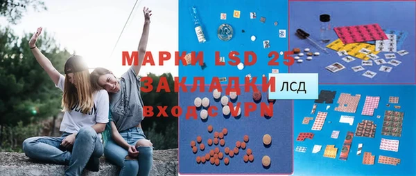 крисы Абаза