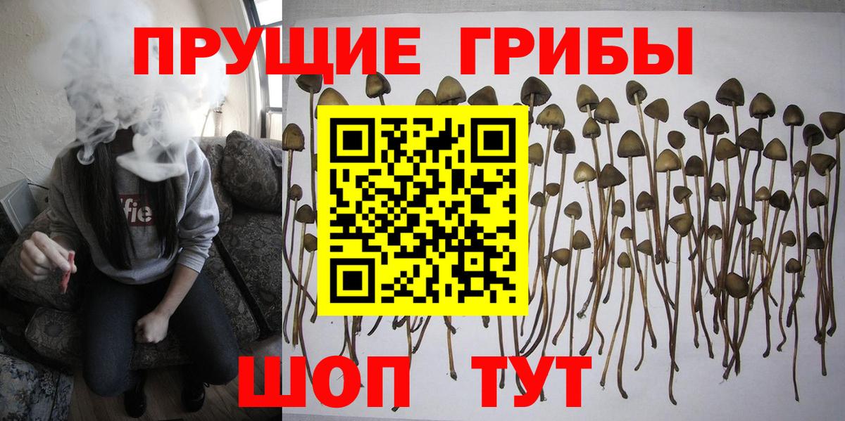 Галлюциногенные грибы Psilocybine cubensis  Псилоцибиновые грибы Psilocybe  Вход с VPN  Смоленск 